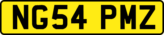 NG54PMZ