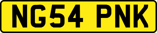 NG54PNK