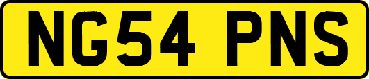 NG54PNS