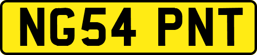 NG54PNT