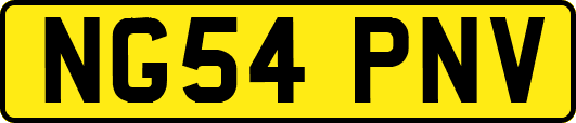 NG54PNV