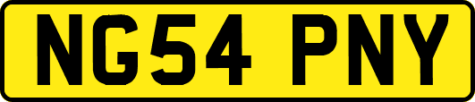 NG54PNY