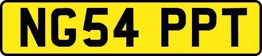NG54PPT