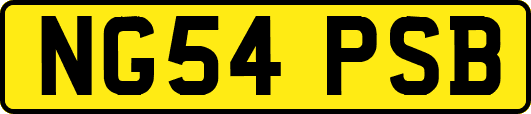 NG54PSB