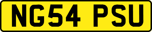 NG54PSU