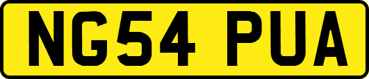 NG54PUA