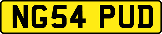NG54PUD