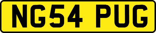 NG54PUG