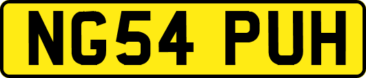 NG54PUH