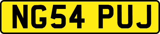 NG54PUJ