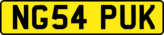 NG54PUK