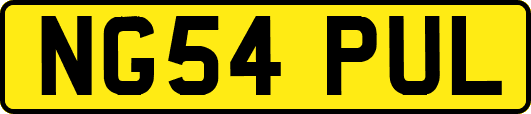 NG54PUL