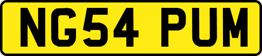 NG54PUM