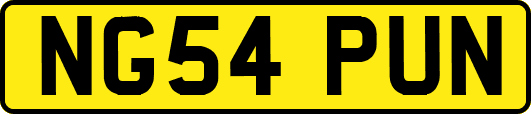 NG54PUN
