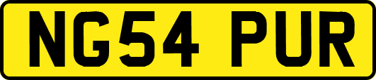 NG54PUR