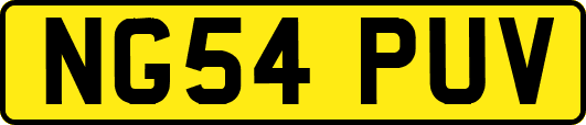 NG54PUV