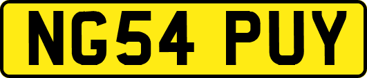 NG54PUY