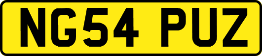 NG54PUZ