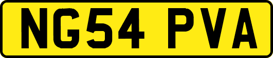 NG54PVA