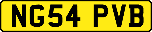 NG54PVB