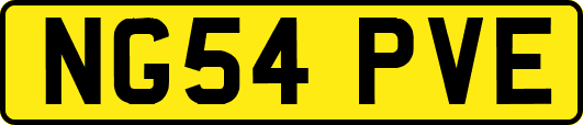 NG54PVE