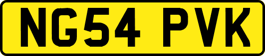 NG54PVK
