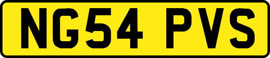 NG54PVS