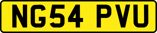 NG54PVU