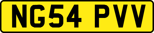 NG54PVV