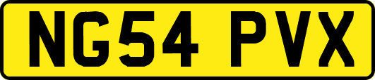 NG54PVX