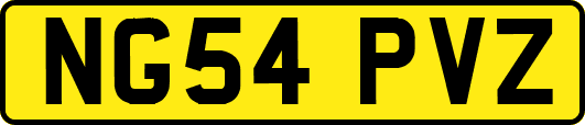 NG54PVZ