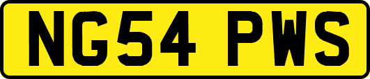 NG54PWS