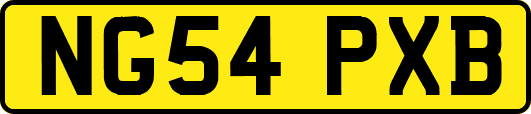 NG54PXB