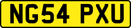 NG54PXU