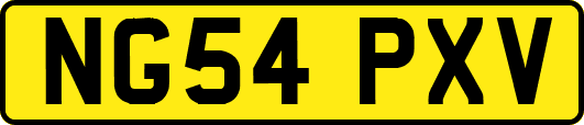 NG54PXV