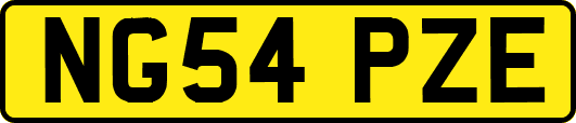 NG54PZE