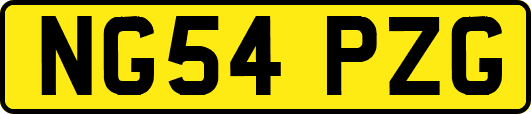 NG54PZG