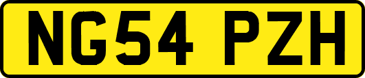 NG54PZH
