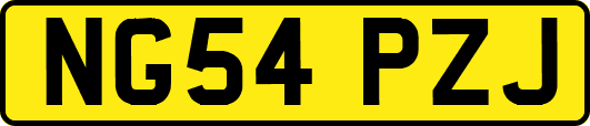 NG54PZJ