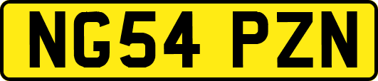 NG54PZN