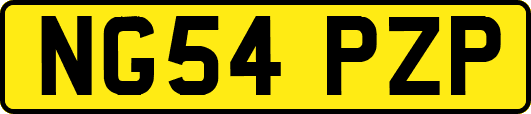 NG54PZP