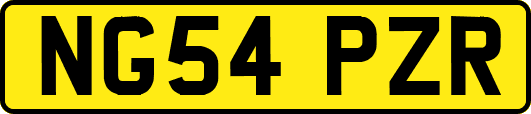 NG54PZR