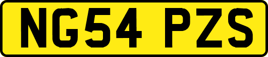 NG54PZS