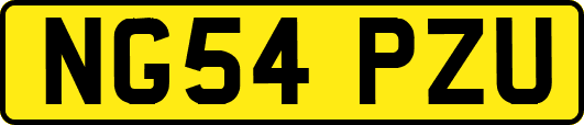 NG54PZU