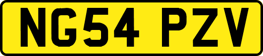 NG54PZV