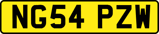 NG54PZW