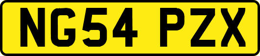 NG54PZX