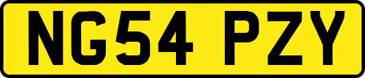 NG54PZY