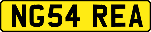 NG54REA