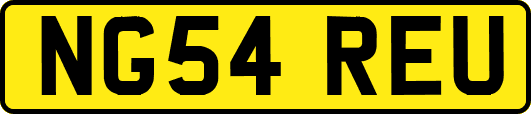NG54REU